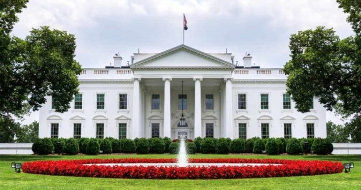 Trump Hosts Top Crypto CEOs at White House as US Weighs Bitcoin Buy