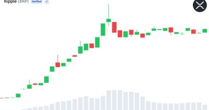 Bitwise XRP ETF Trading Volume Tops $200M Across Three Sessions