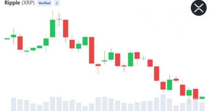 XRP Slides 69% From Peak While Existing Wallet Activity Climbs