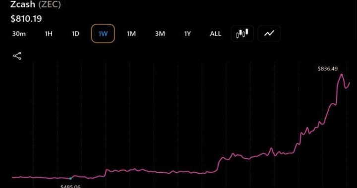 Zcash, Bitcoin Cash, Cardano Rally as ZEC Leads With a 47% Surge