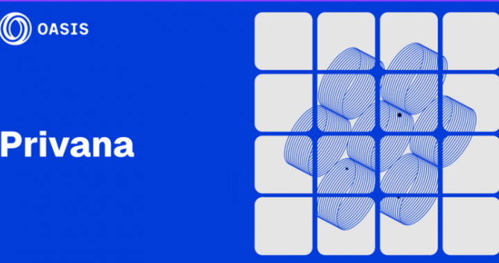 Introducing Privana: A Deep Dive into Core Concepts