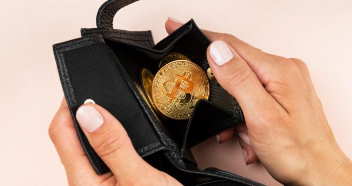 $19.3B and Growing: What It Really Takes to Launch a Crypto Wallet Business in 2026