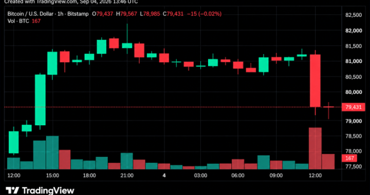 Bitcoin Price Plunges From $82K as $78,000 Becomes the Line