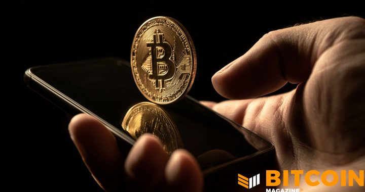 When the Banks Don’t Work, Bitcoin Does: Cornell University’s Adoption Index