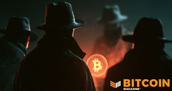 White Hats Move Over $4.5 in Bitcoins From Coldcard to Recovery Trust
