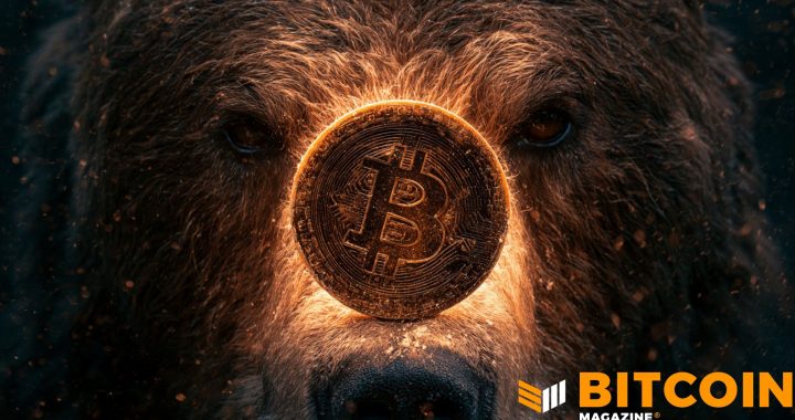 Bitcoin Bear Market May Not Yet Be Over, Says Fidelity 