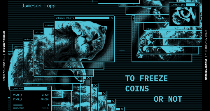 The Quantum Issue: To Freeze Coins Or Not