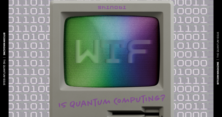 The Quantum Issue: WTF Is Quantum Computing?