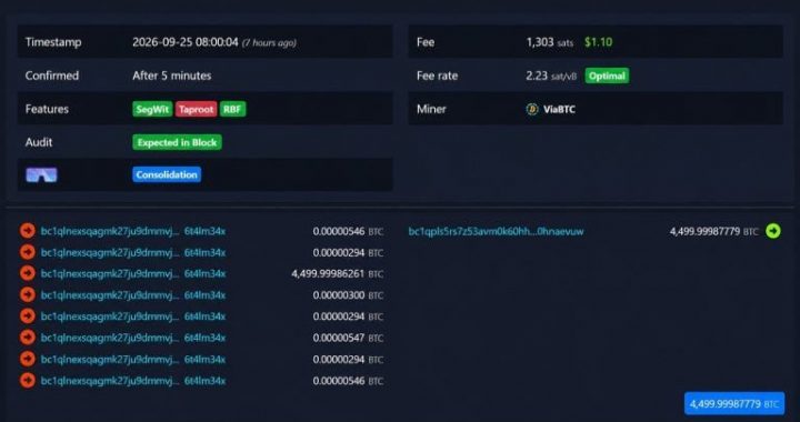 A 2019 Bitcoin Whale Moved $378M and Paid Just $1 to Do It