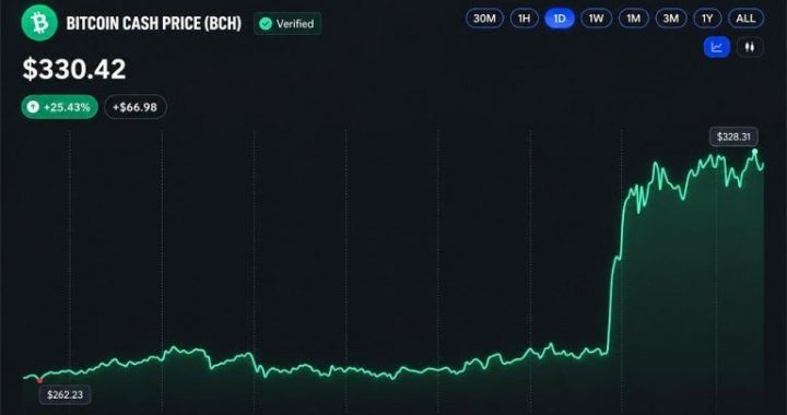 Bitcoin Cash Price Surges 30% as CME Announces BCH Futures Launch