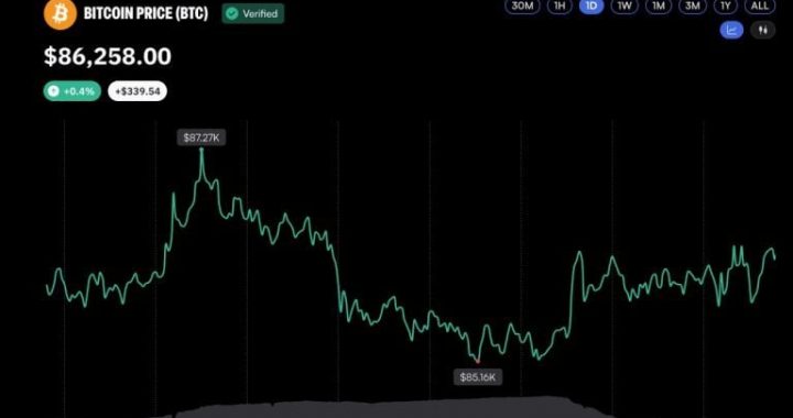 Bitcoin Liquidations Drop Sharply as BTC Price Holds Above $86,000