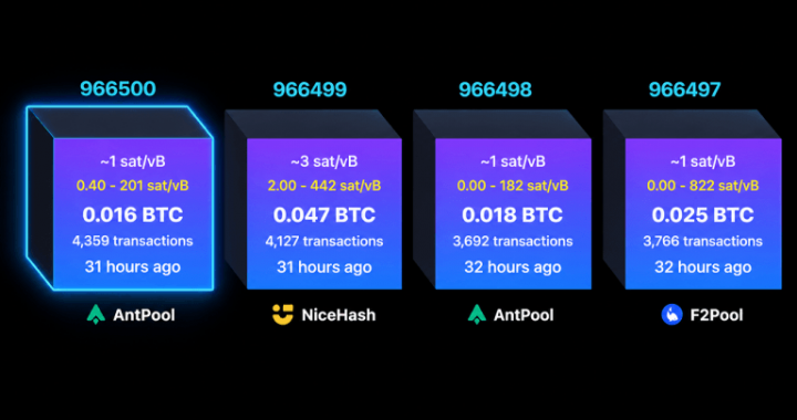 Bitcoin Miners Found 2 Valid Blocks, Then One Was Left Behind