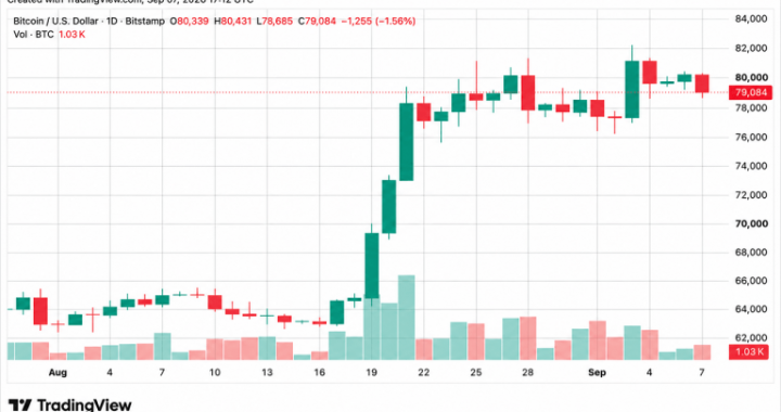 Bitcoin Price Drops Below $79K Line as Longs Get Torched in $208M Rout