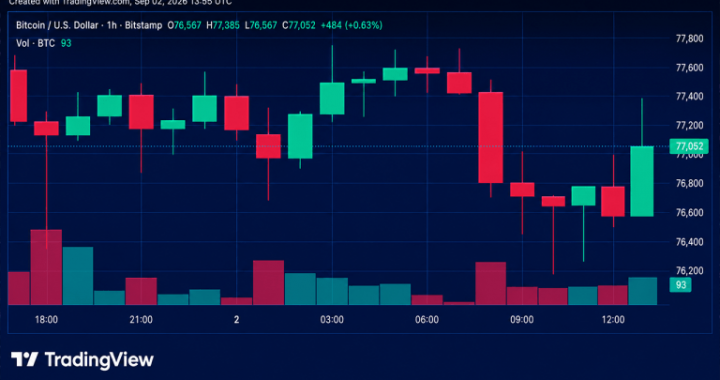 Bitcoin Price Gets Squeezed Below $78K as Bulls Defend the Floor
