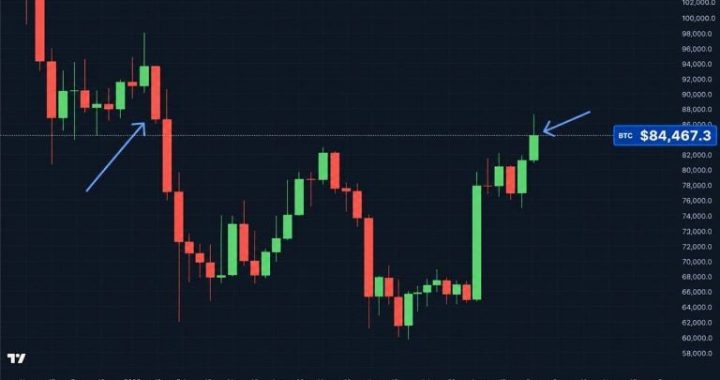 Bitcoin Price Logs Its Best Weekly Close Since January but Then Stumbles