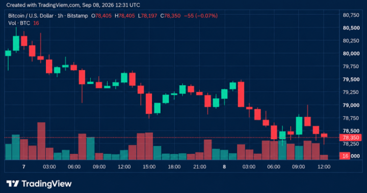 Bitcoin Price Loses Steam as Bears Circle Critical $78K Floor