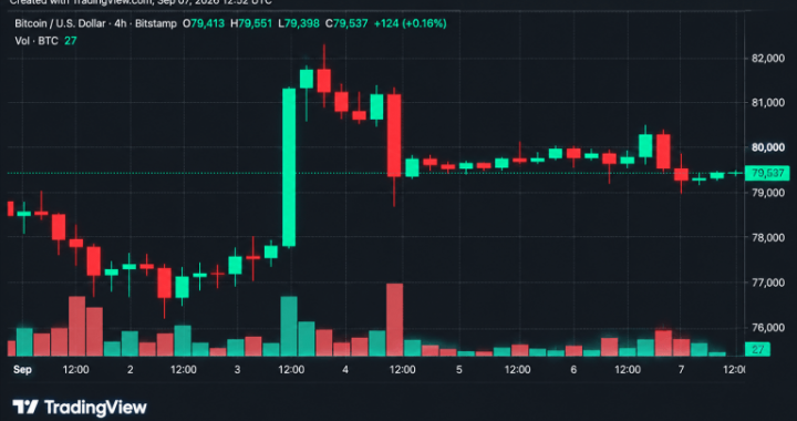 Bitcoin Price Rejected at $80.5K as Bulls Scramble to Defend $79K