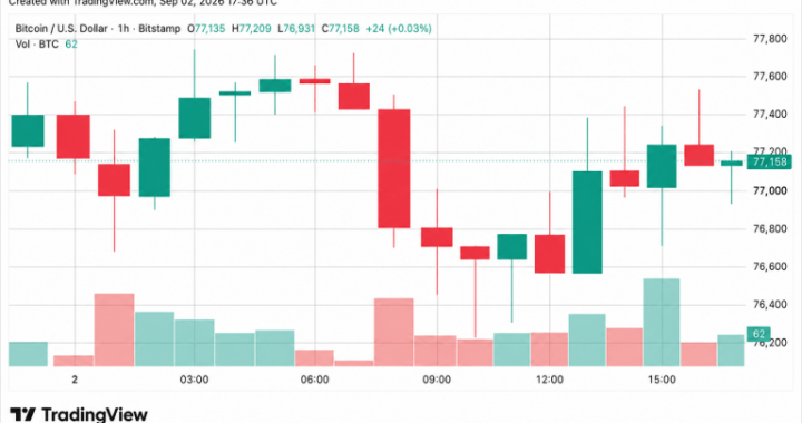 Bitcoin Price Resists $76K Dip as Analyst Flags Next Buy Zone at $74K