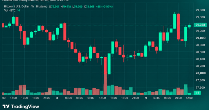 Bitcoin Price Roars Back From $77,603 as Bulls Eye $80,000