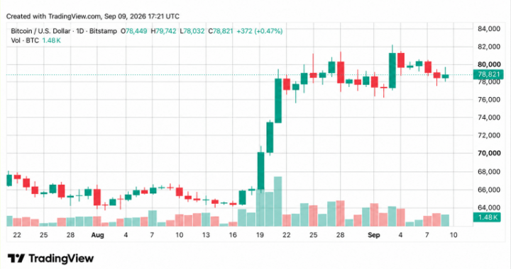 Bitcoin Price Steadies at $78K Despite $6B Treasury Action