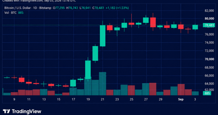 Bitcoin Price Surges as Bulls Slam Into $79,000 Resistance