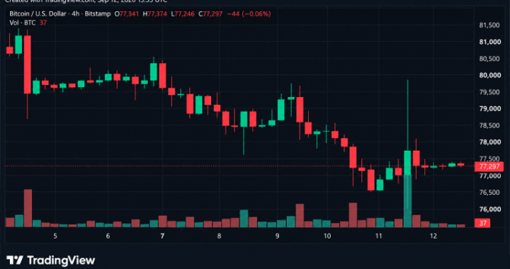Bitcoin Price Takes a $3,215 Ride Just to Land Back at $77K