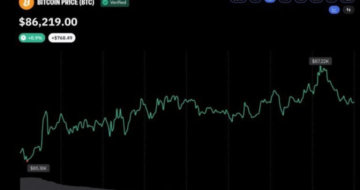 Bitcoin Reclaims $87K as Bull Market Momentum Builds