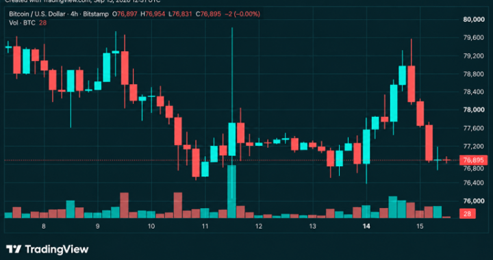 Bitcoin’s Price Is Sitting on Support After a Brutal $79K Rejection