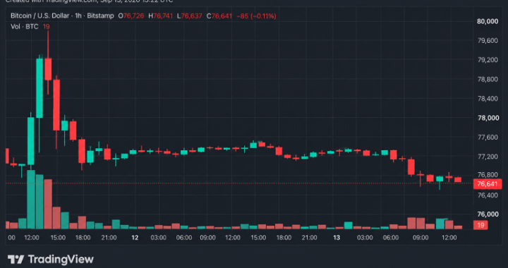 Bitcoin’s Price Looks Shaky at $76K, but the Trend Says Otherwise