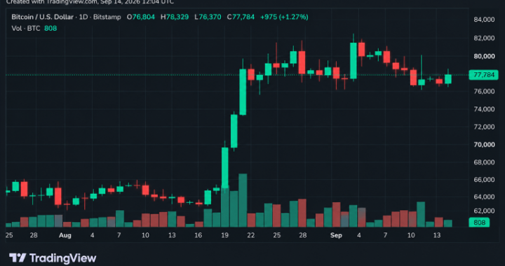 Bitcoin’s Price Refused to Break at $76K, but $79K Won’t Give