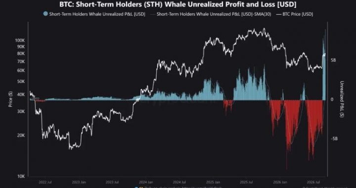 Bitcoin’s $9.07B Whale Profit Record Puts Rally Floor to Test