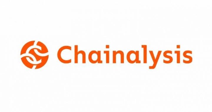 Chainalysis Report: The US Owns the Most Crypto but Uses It the Least
