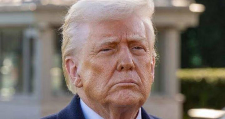 Trump’s $5,000 Stimulus Could Send Bitcoin Higher, Pompliano Says
