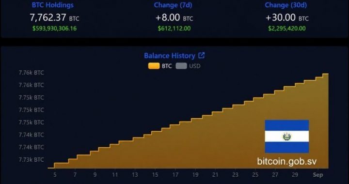 El Salvador’s Bitcoin Stash Grows to 7,762 BTC Despite IMF Reservations