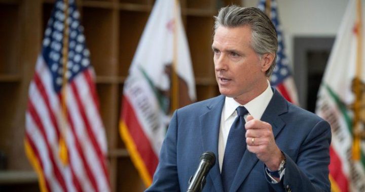 California Bans Officials’ Memecoins After TRUMP Buyers Lost $3.8B