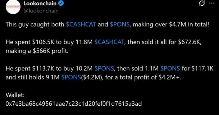 How CASHCAT and PONS Turned $220K Into $4.7M on Robinhood Chain