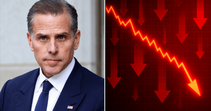 Hunter Biden’s LAPTOP Meme Coin Implodes 98% in Just 90 Minutes
