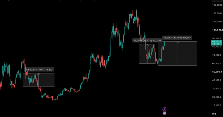Bitcoin Hits The Line Between a Bull Market and a Bear Recovery
