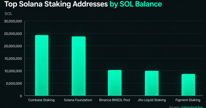 Inside Solana’s Staking Giants and the Mystery Whales With Billions