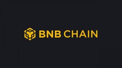 BNB Chain adds 985K stablecoin holders in a single week, dwarfing every other network