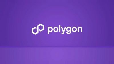 Polygon prepares permissionless burn of 100 million POL tokens