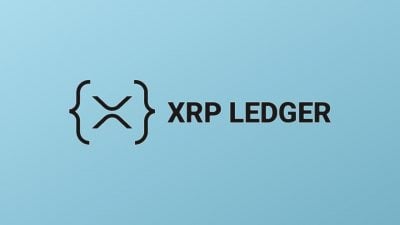 Ripple signs multi-year deal to feature XRP logo at Florida’s Ben Hill Griffin Stadium