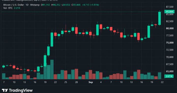 Massive Short Squeeze Sends Bitcoin Price Above $86,000