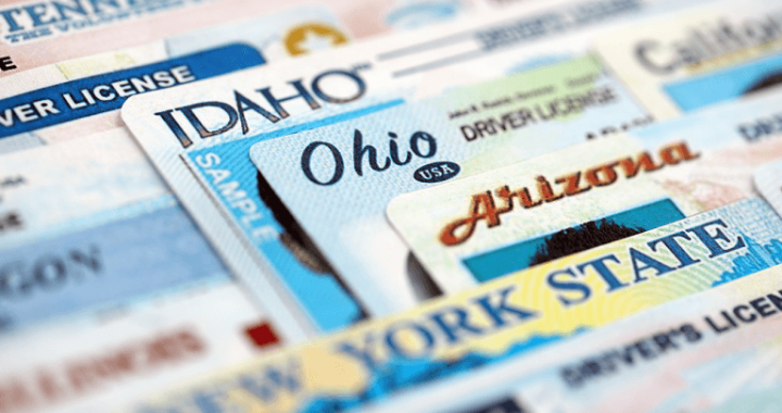 Nexus ID Breach Exposes a Blueprint for Fraud, Experts Warn