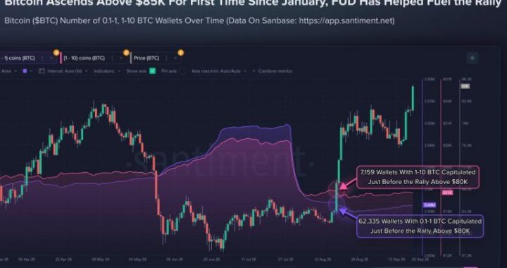 Smaller Bitcoin Holders Sold Before $85K Rally as 69,494 Wallets Exit