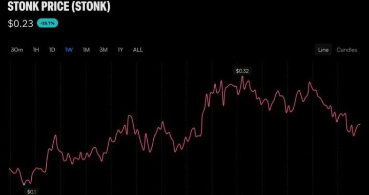 Trader Bought STONK at a $1M Market Cap and Walked Away With $320K Profit