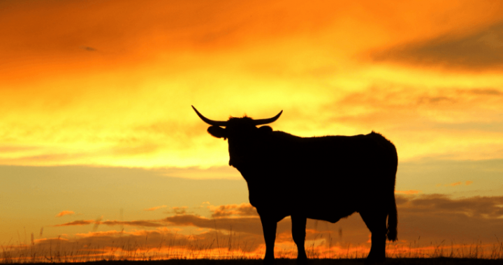 Is the CLARITY Act Really (Not) Needed for Bitcoin Price to Rally?