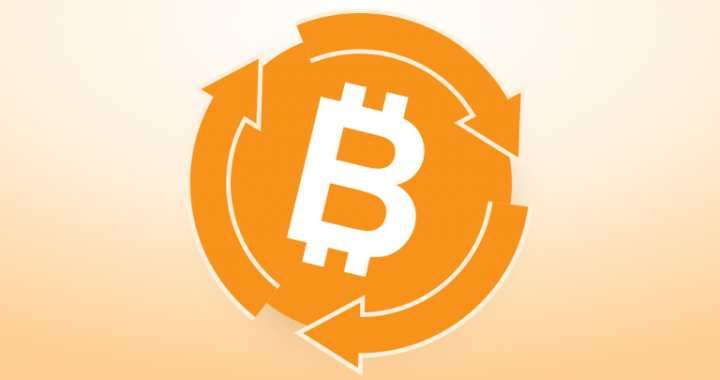 Is ‘This Time Is Different’ Really Different for Bitcoin Price?