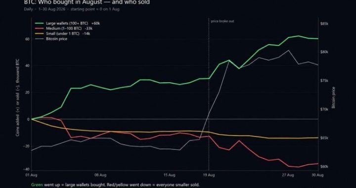 Cryptoquant: Bitcoin Price Rally Hid a 60,000 BTC Whale Buying Spree