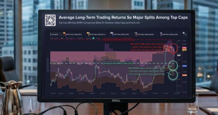 XRP Average Long-Term Trader Still Down 11.75% After Rebound